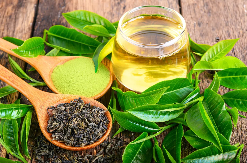 Metabolic Support Herbal Wellness